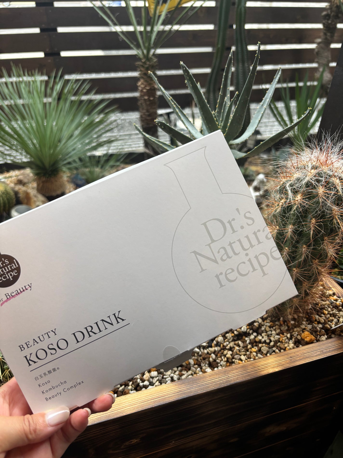 ドクターズナチュラルレシピ 美容酵素ドリンク(ライチ味)/ドクターズ ナチュラル レシピ/酵素ドリンクを使ったクチコミ(2枚目)