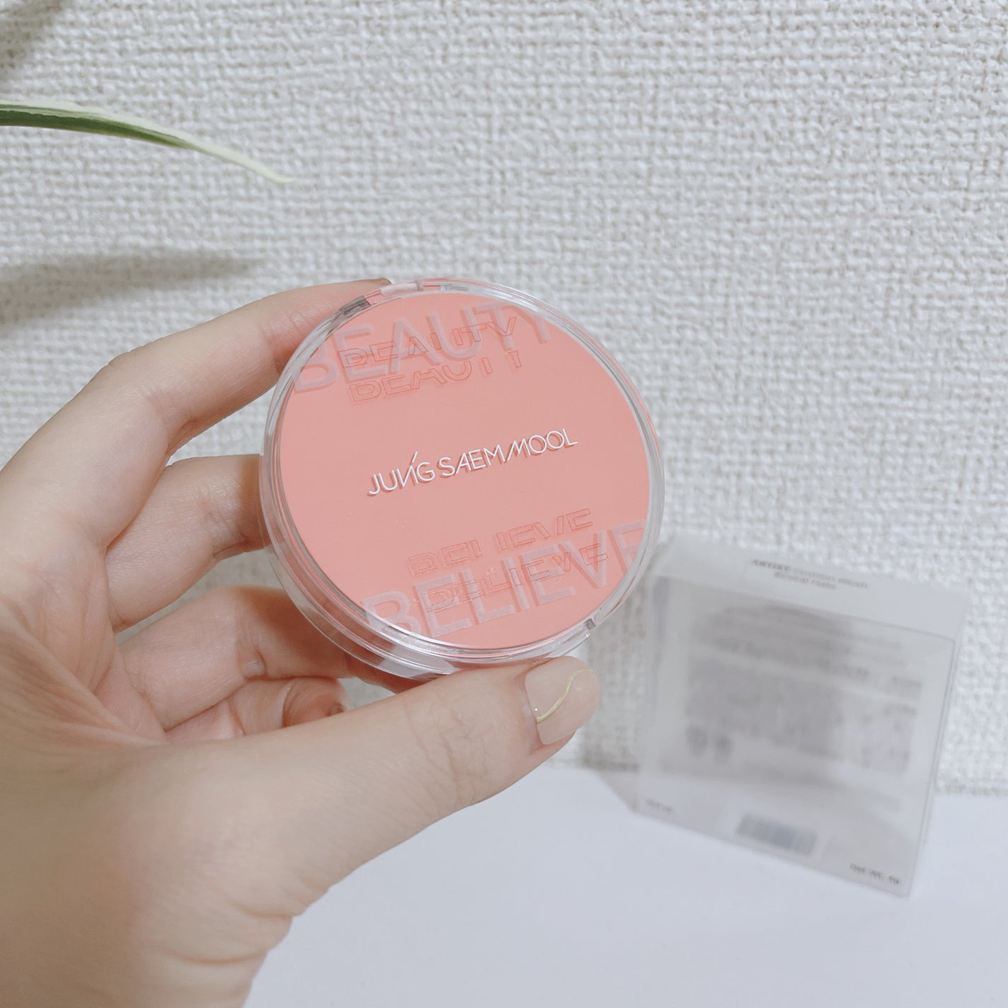 アーティストクッションブラッシュ/JUNG SAEM MOOL/リキッドチークを使ったクチコミ(4枚目)