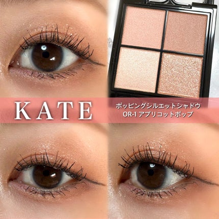 ケイト ポッピングシルエットシャドウ/KATE/アイシャドウパレットを使ったクチコミ(1枚目)