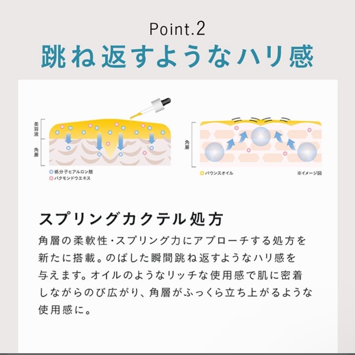 リンクル O/L コンセントレート/DECENCIA/美容液を使ったクチコミ(4枚目)