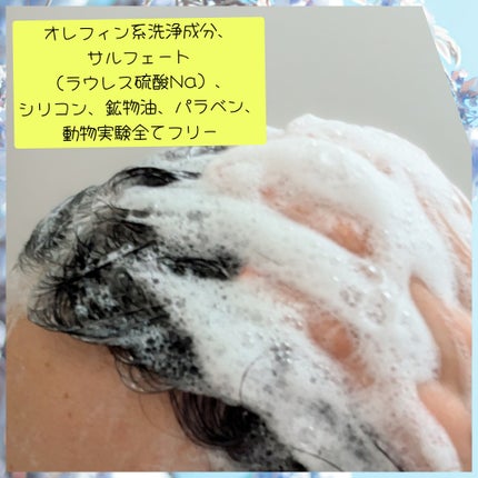 リポ ラボ ケラチンセラム ジェルモイスト シャンプー /トリートメントスリークリペア*/LIPO LABO/市販シャンプーを使ったクチコミ(5枚目)