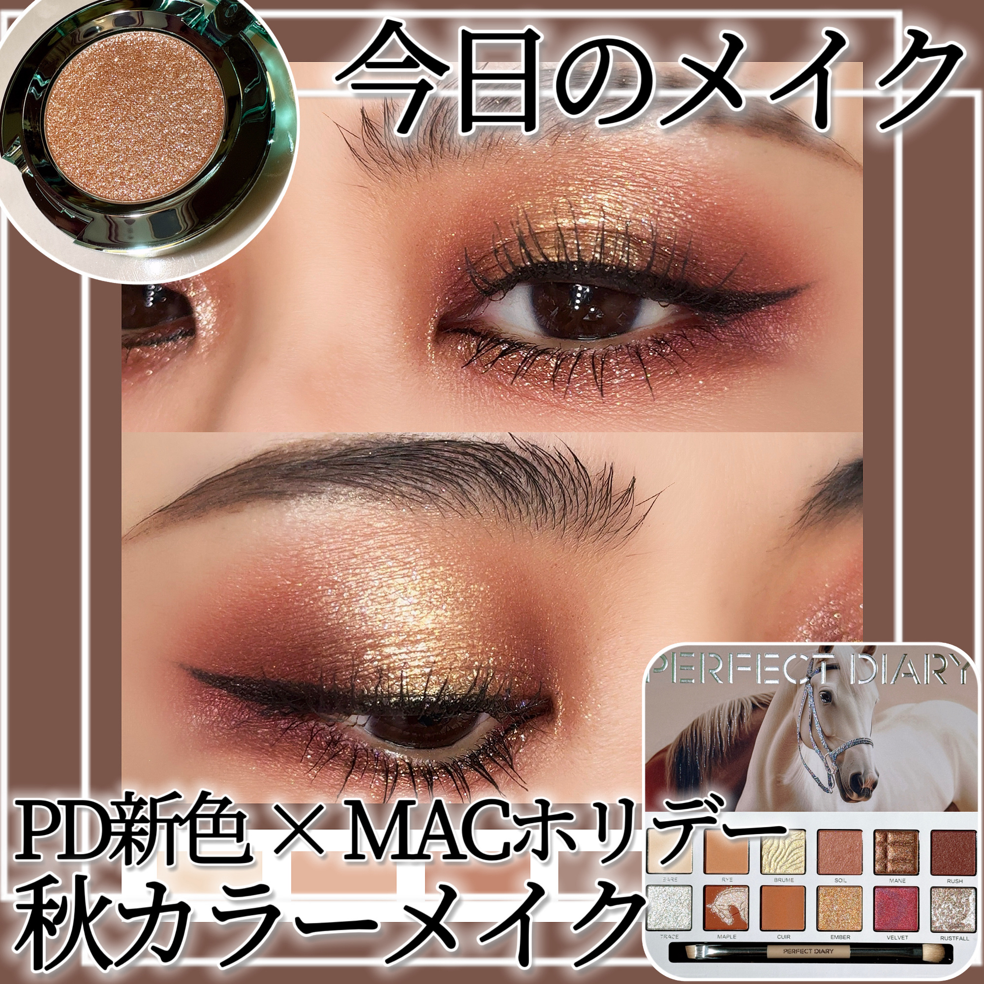 エクスプローラ12色 動物アイシャドウパレット/PERFECT DIARY/アイシャドウパレットを使ったクチコミ（1枚目）