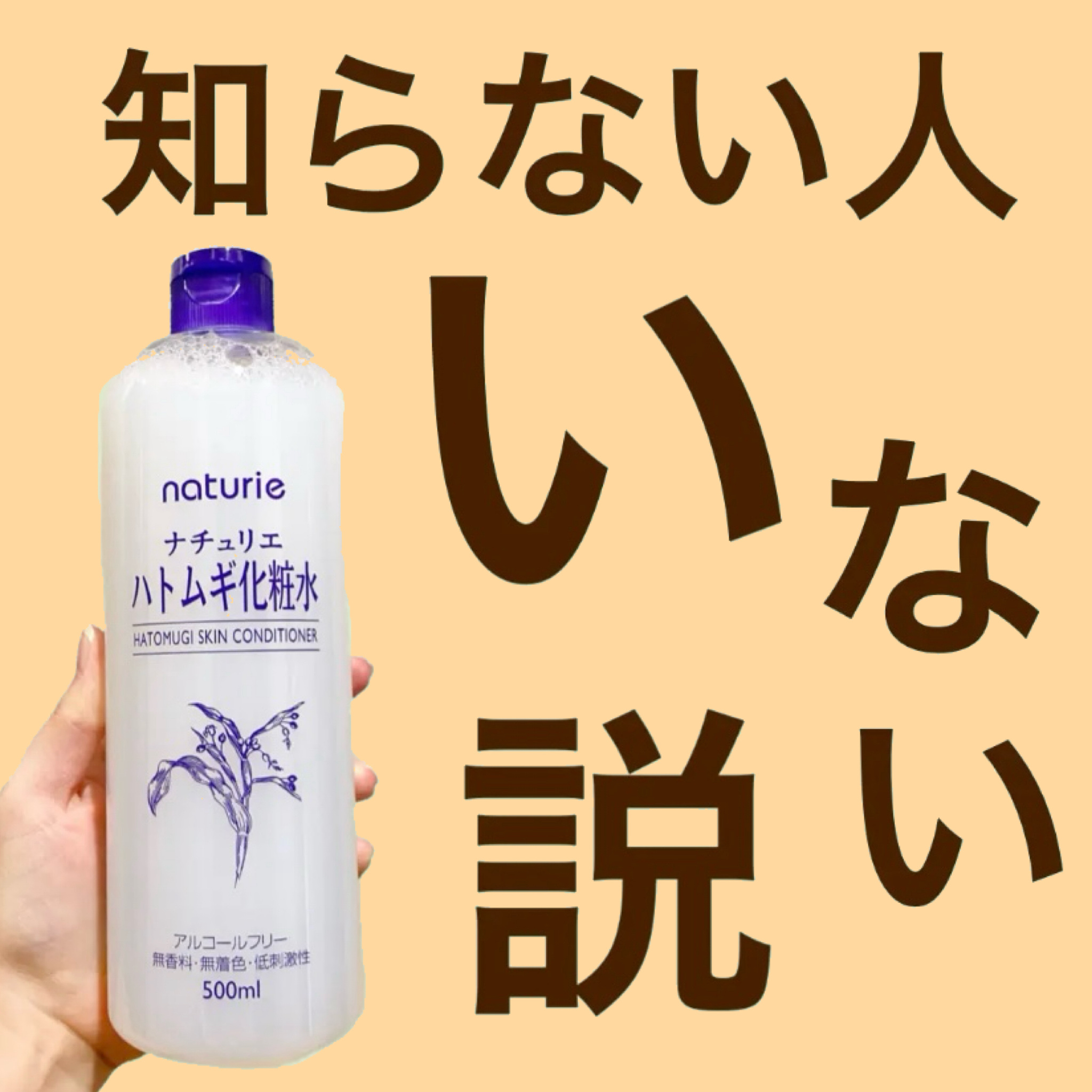 ハトムギ化粧水(ナチュリエ スキンコンディショナー R )/ナチュリエ/化粧水を使ったクチコミ（1枚目）