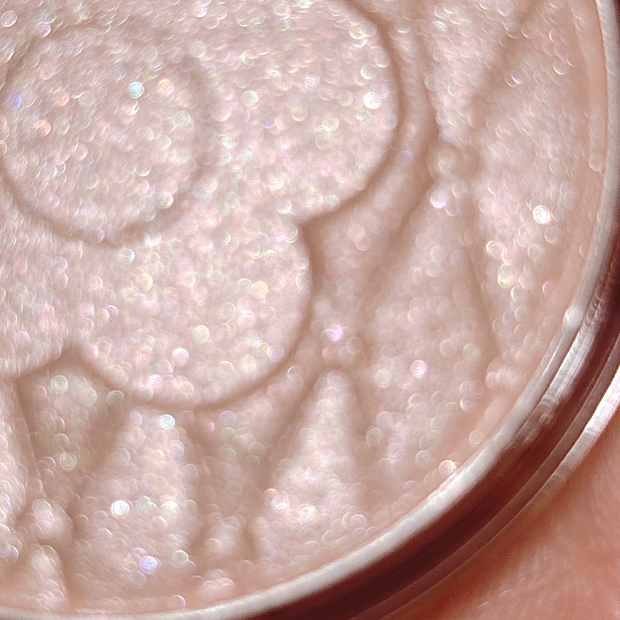 デイジードール パウダー ブラッシュ ブルーム 20 シュガーミルク/DAISY DOLL by MARY QUANT/パウダーチークを使ったクチコミ（3枚目）