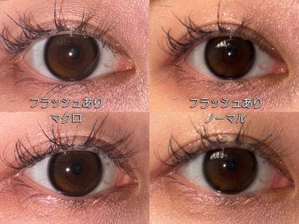 SIE. 1day PONYTAIL (ポニーテール) /SIE./ワンデー(1DAY)カラコンの画像