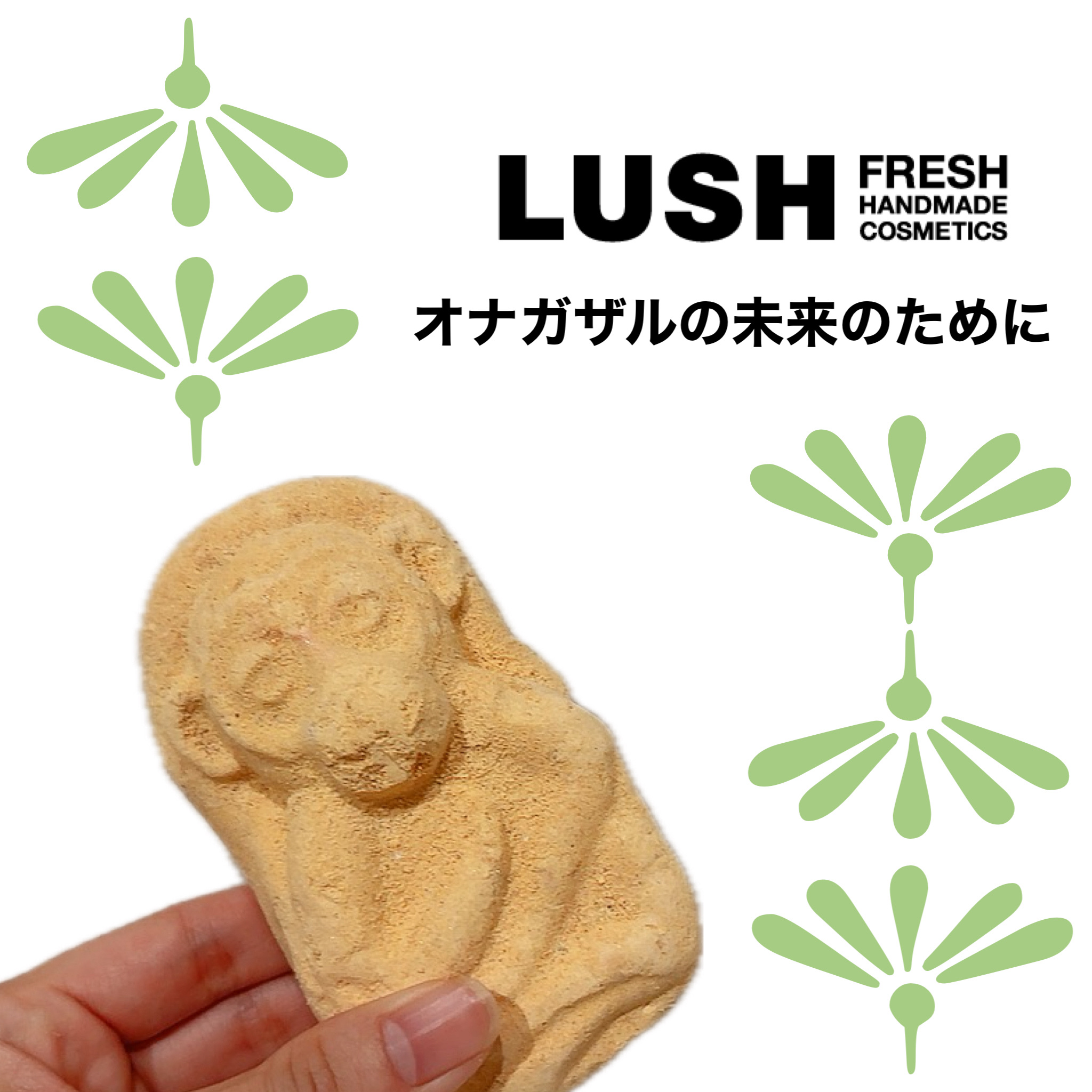 ラッシュ　オナガザルの未来のために

LUSHでバスボムを選んでる時に子供に選んでもらいました🐒🍌

見た目はあんまり可愛くないかも…、と思ったのですが

【絶滅の危機に瀕する多くの野生動物が生息するインドネシア・シムル島における原生熱