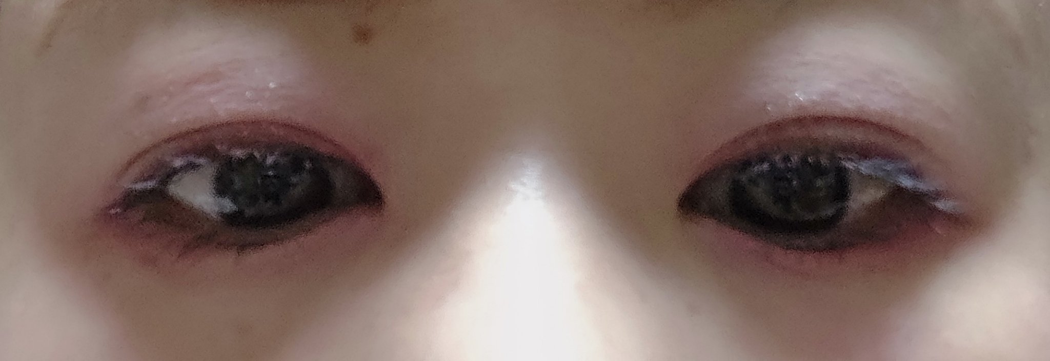 プロ アイ パレット エアー/CLIO/アイシャドウパレットを使ったクチコミ（3枚目）