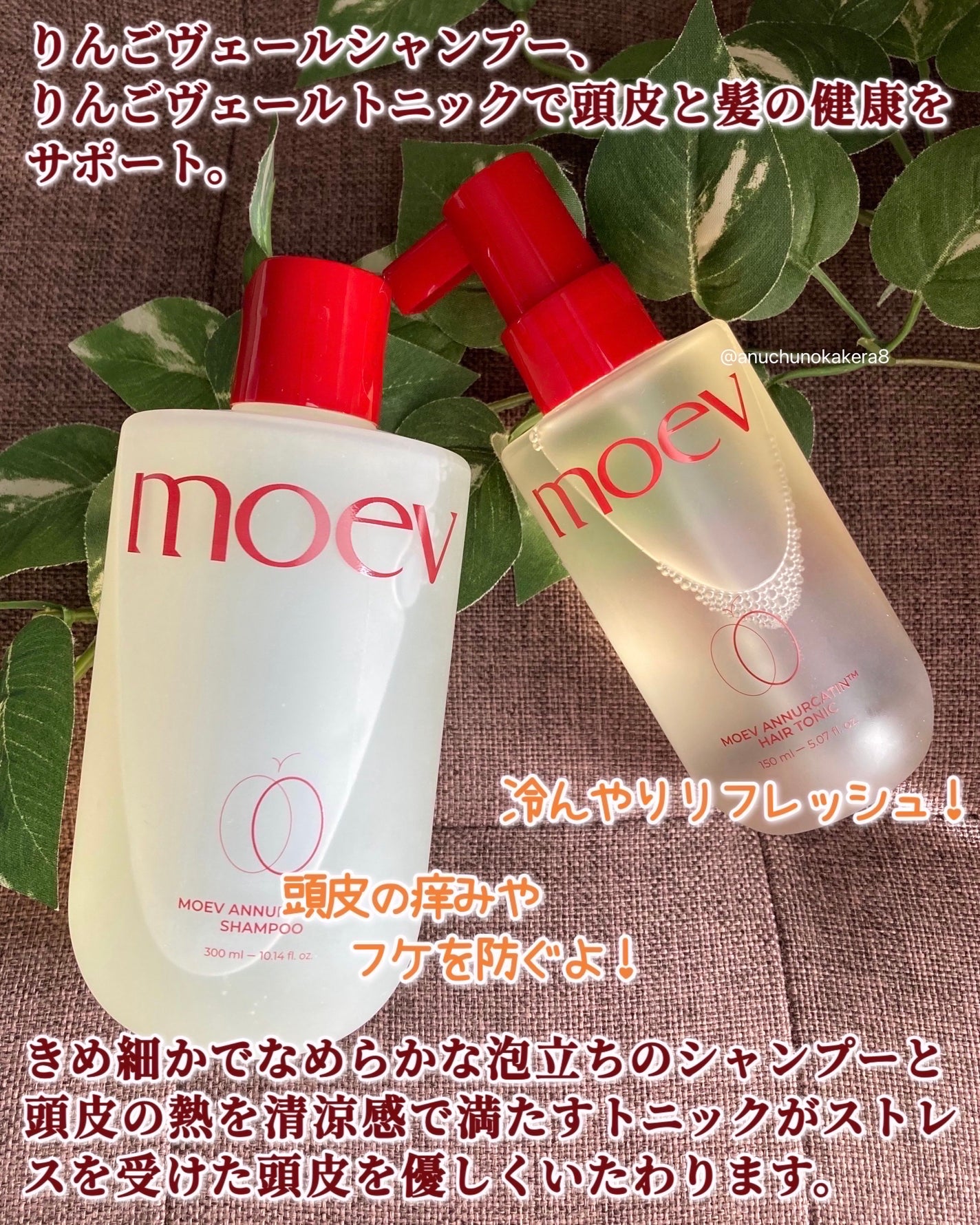 モエブ アヌカチン シャンプー/トリートメント/moev/市販シャンプーを使ったクチコミ(2枚目)