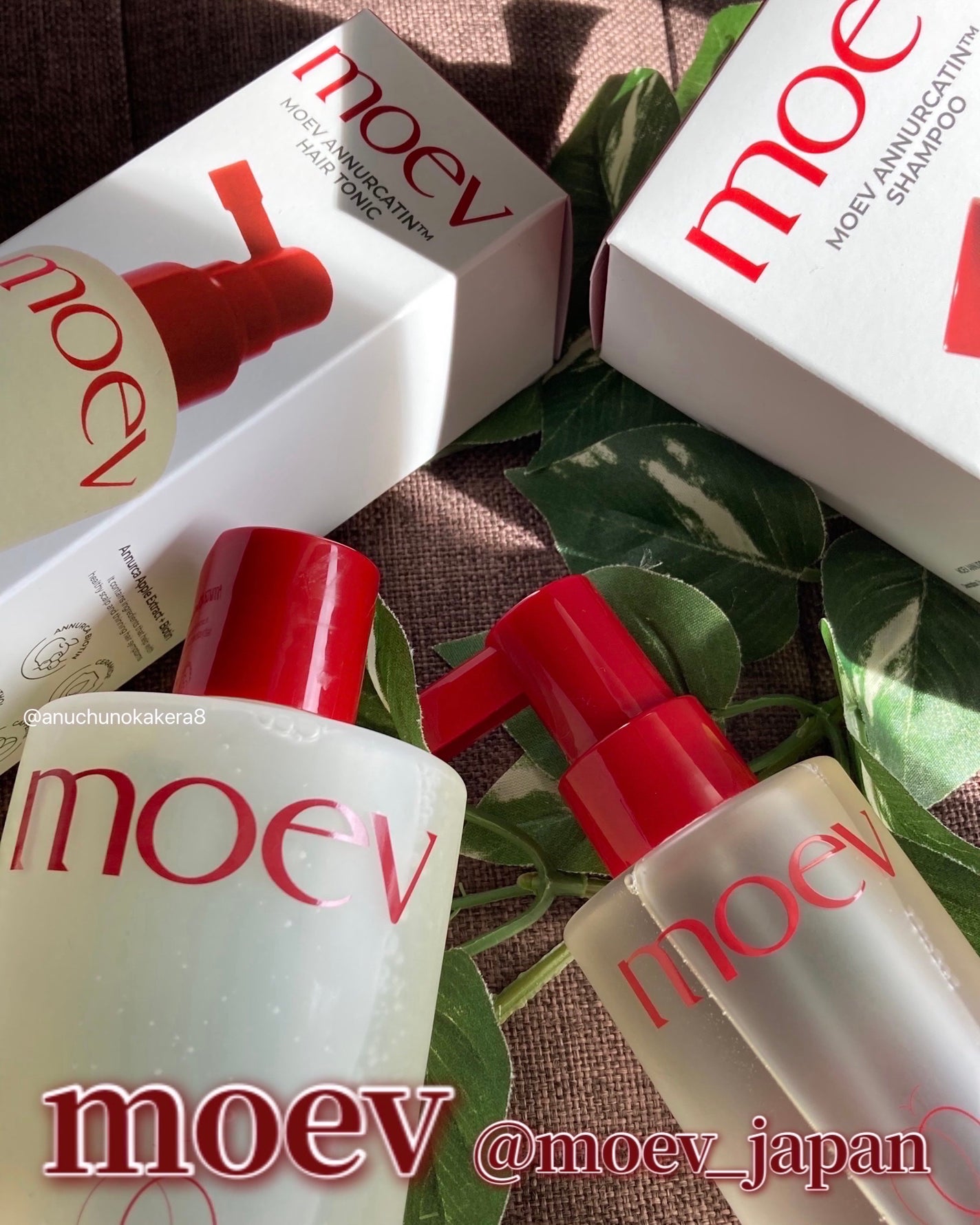 モエブ アヌカチン シャンプー/トリートメント/moev/市販シャンプーを使ったクチコミ(6枚目)