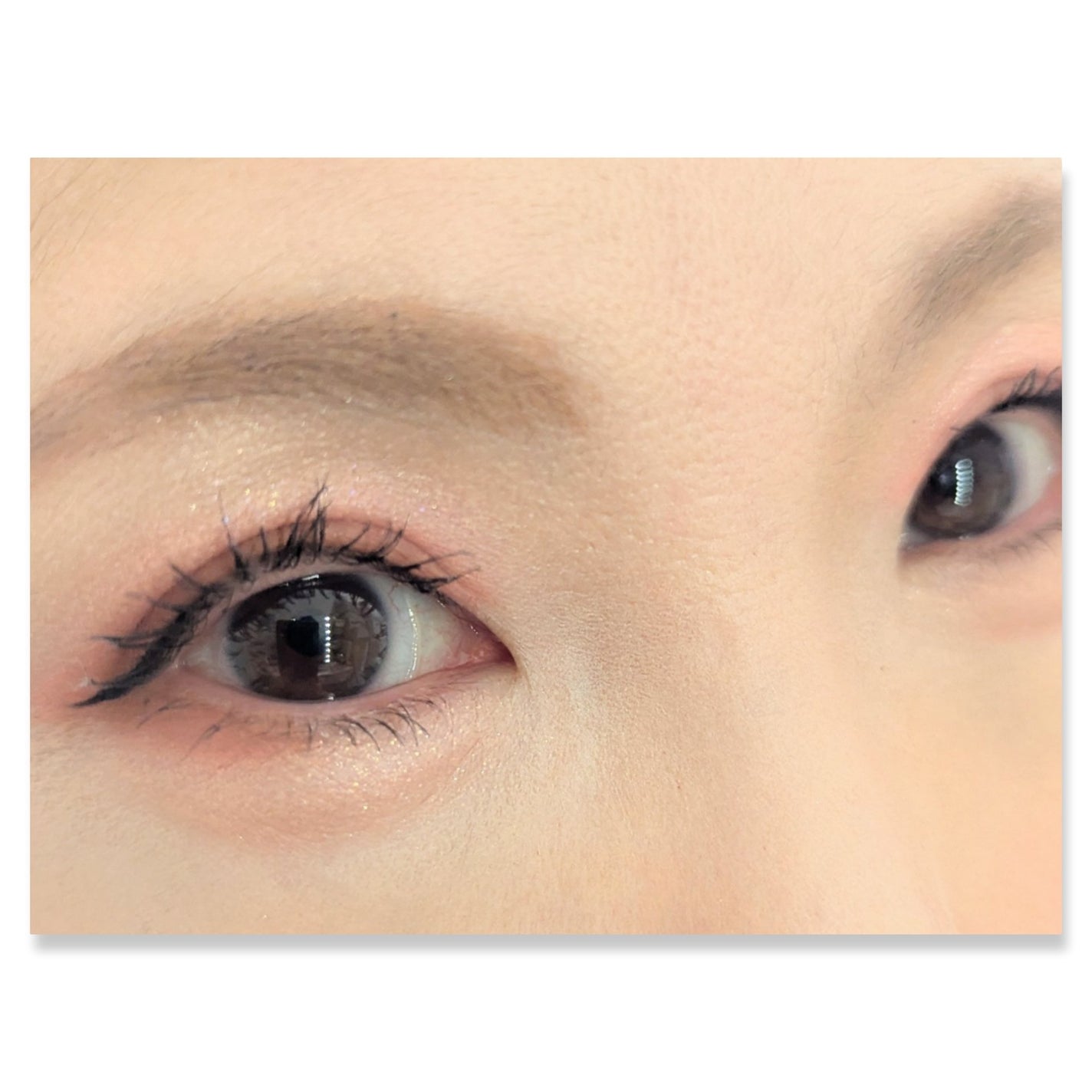 ジルリーン チョコレートアイシャドウ/jill leen./アイシャドウパレットを使ったクチコミ(2枚目)