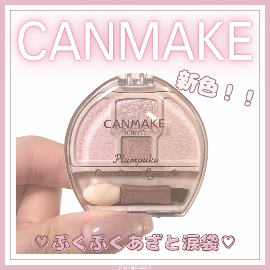 プランぷくコーデアイズ/キャンメイク/パウダーアイシャドウを使ったクチコミ（1枚目）