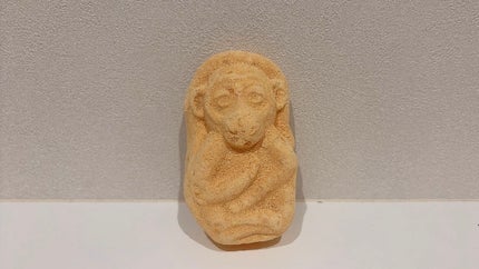 オナガザルの未来のために/ラッシュ/炭酸系入浴剤を使ったクチコミ(2枚目)