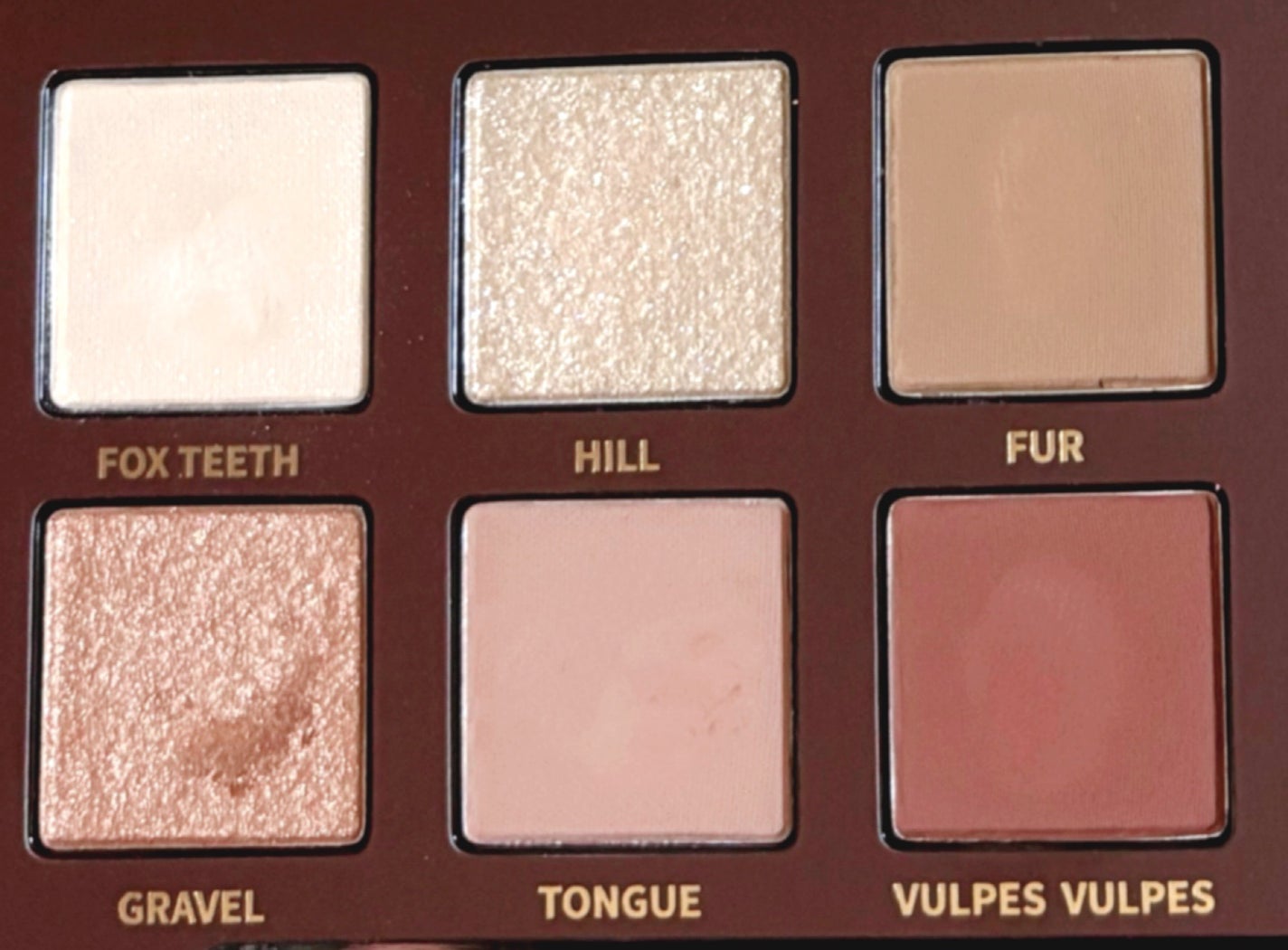 エクスプローラ12色 動物アイシャドウパレット/PERFECT DIARY/アイシャドウパレットを使ったクチコミ(3枚目)