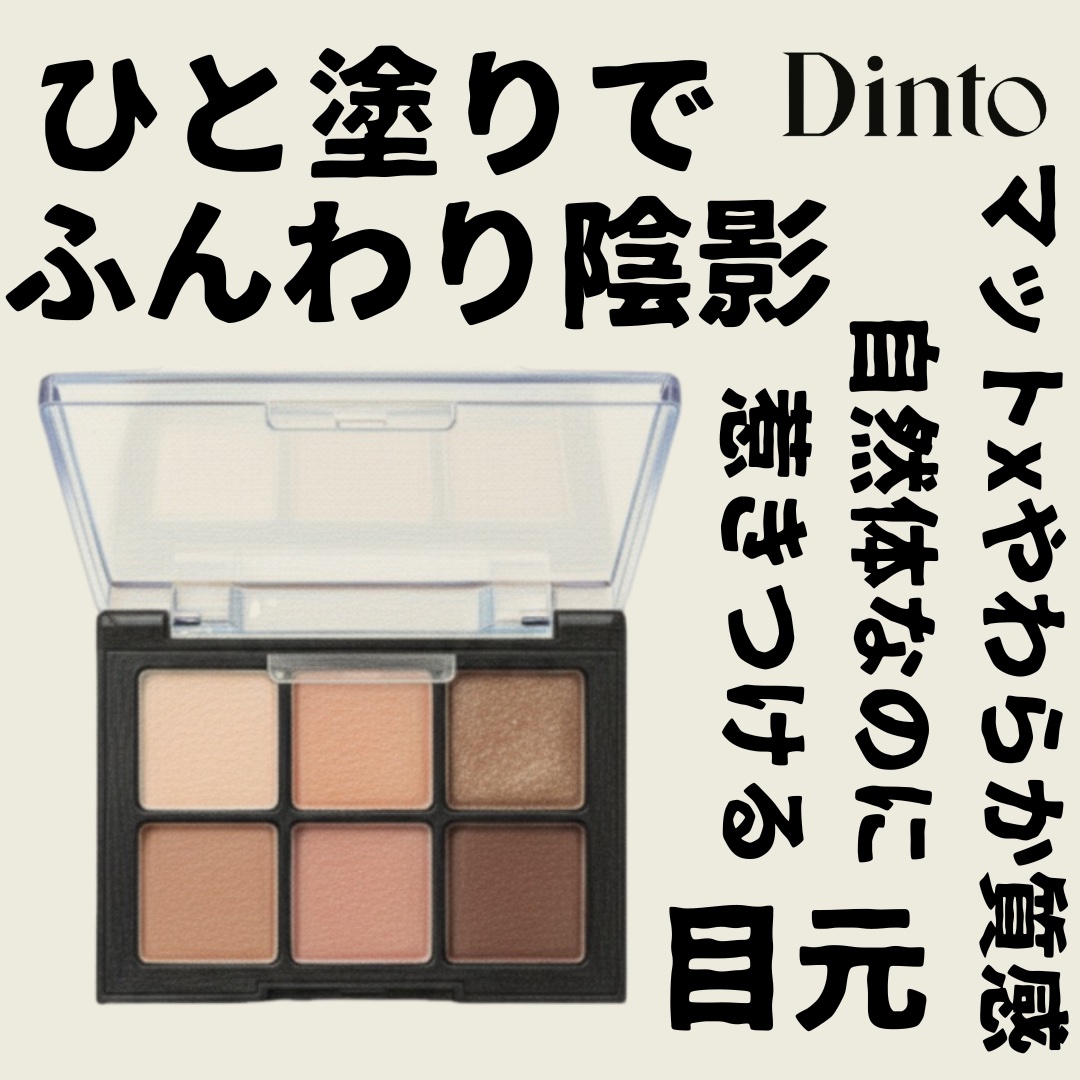 ブラーフィニシュシャドウパレット/Dinto/アイシャドウパレットを使ったクチコミ（1枚目）