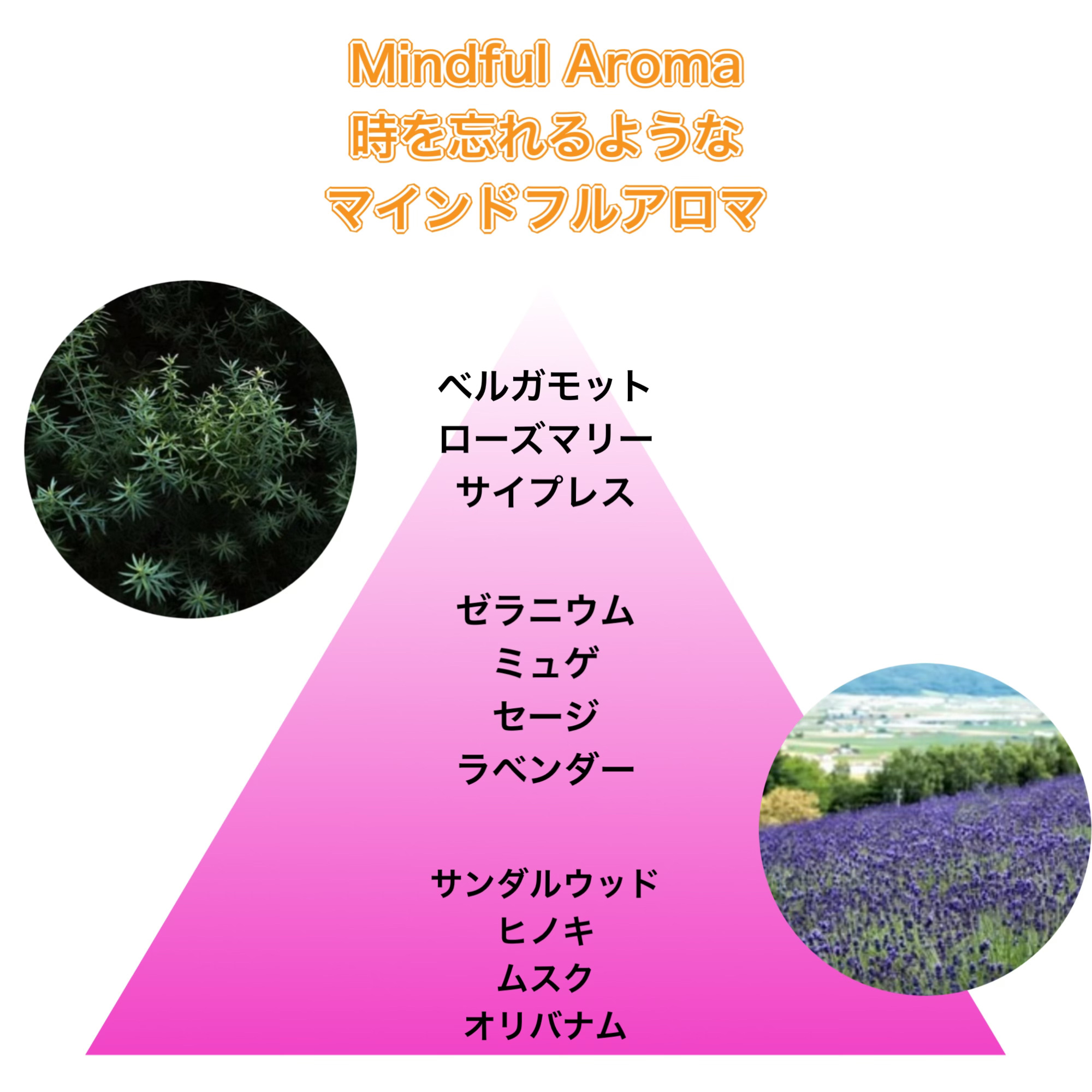 クリーミーメルトパウダー/melt/市販シャンプーを使ったクチコミ（2枚目）