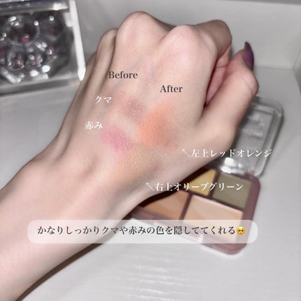 コンシールブレンダーパレット/LUNA/パレットコンシーラーを使ったクチコミ(5枚目)