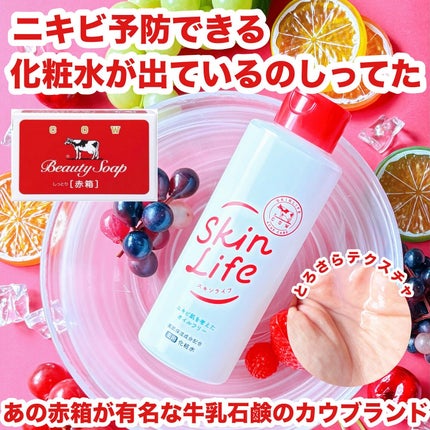 薬用化粧水/スキンライフ/化粧水を使ったクチコミ(1枚目)