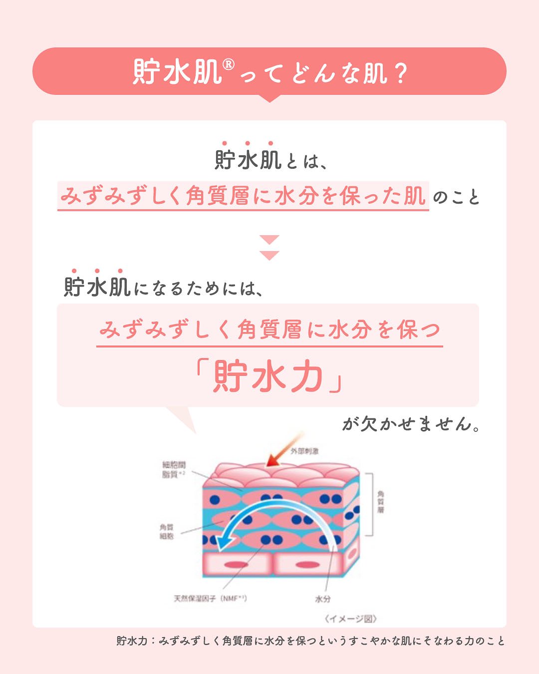 ミノン アミノモイスト モイストチャージ クリーム/ミノン/フェイスクリームを使ったクチコミ（2枚目）