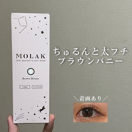 MOLAK 1day/MOLAK/ワンデー(1DAY)カラコンを使ったクチコミ(1枚目)