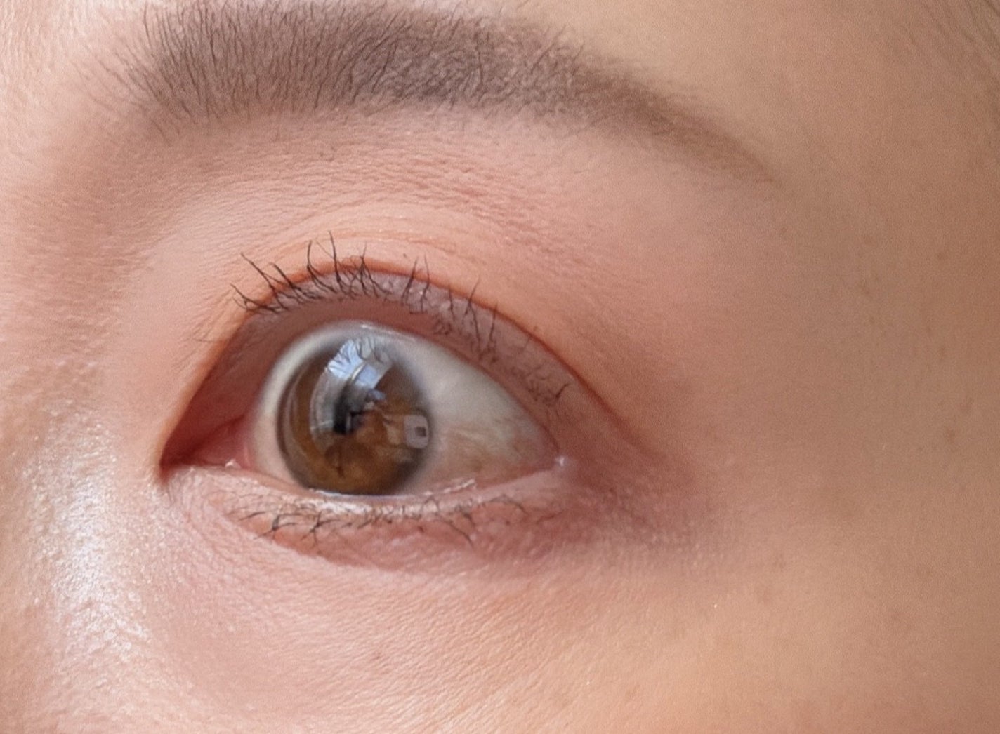 ラッシュエキスパンダー 孔雀ロング/MAJOLICA MAJORCA/マスカラを使ったクチコミ(3枚目)