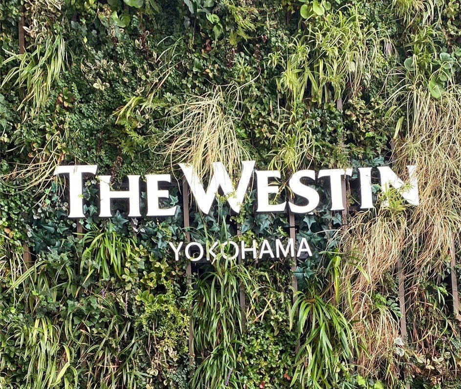 プロ アイ パレット エアー/CLIO/アイシャドウパレットを使ったクチコミ(3枚目)