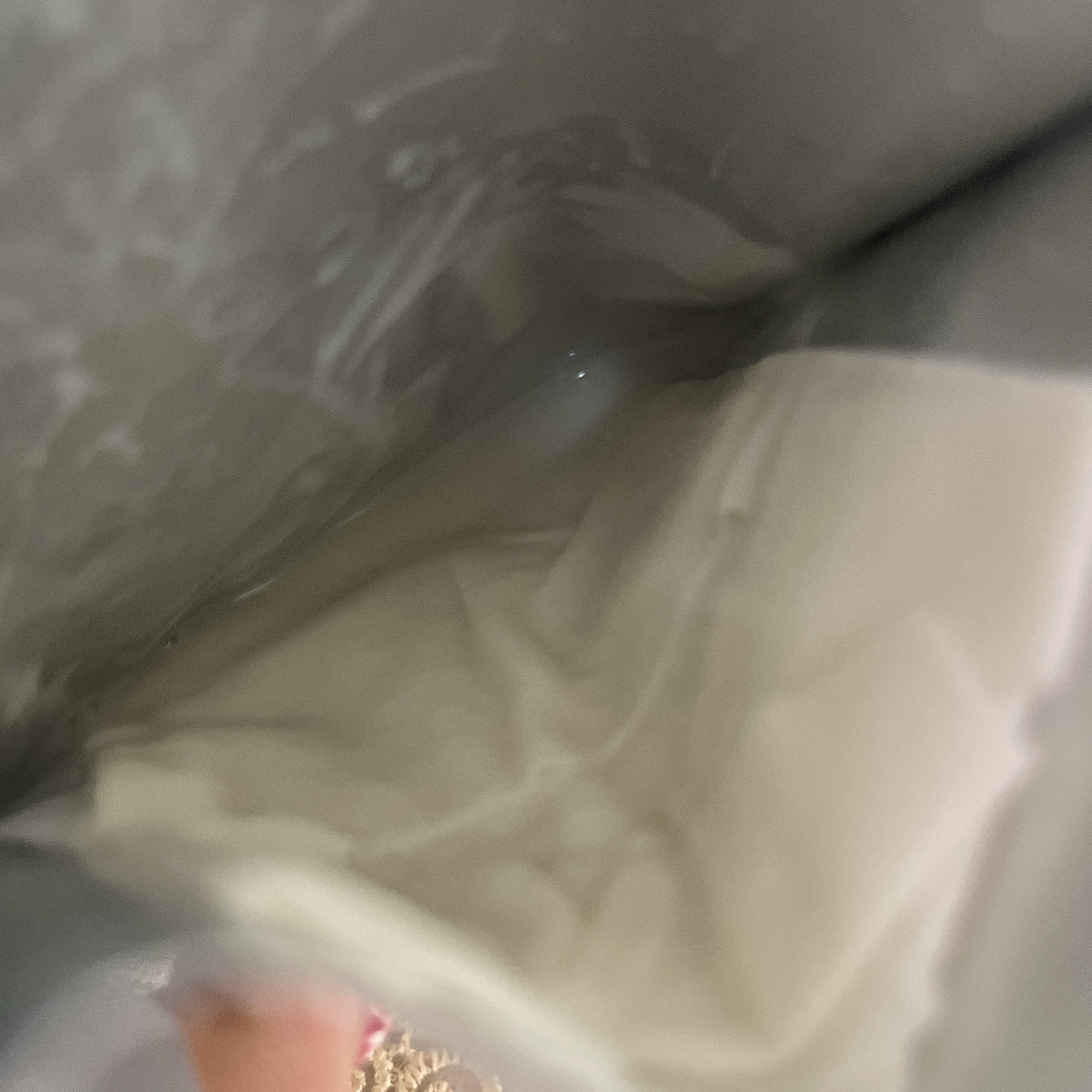 インテンシブリフテンションマスク/ダルバ/シートマスク・パックを使ったクチコミ（3枚目）