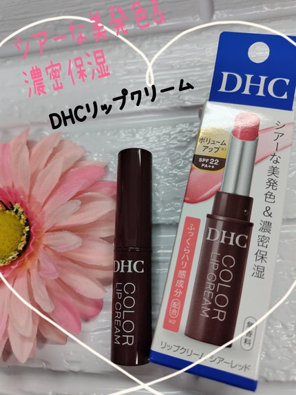 DHC リップクリーム/DHC/リップクリームを使ったクチコミ(1枚目)