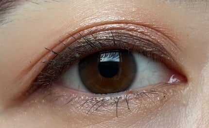 トーン ペタル アイシャドウ/to/one/アイシャドウパレットを使ったクチコミ(2枚目)