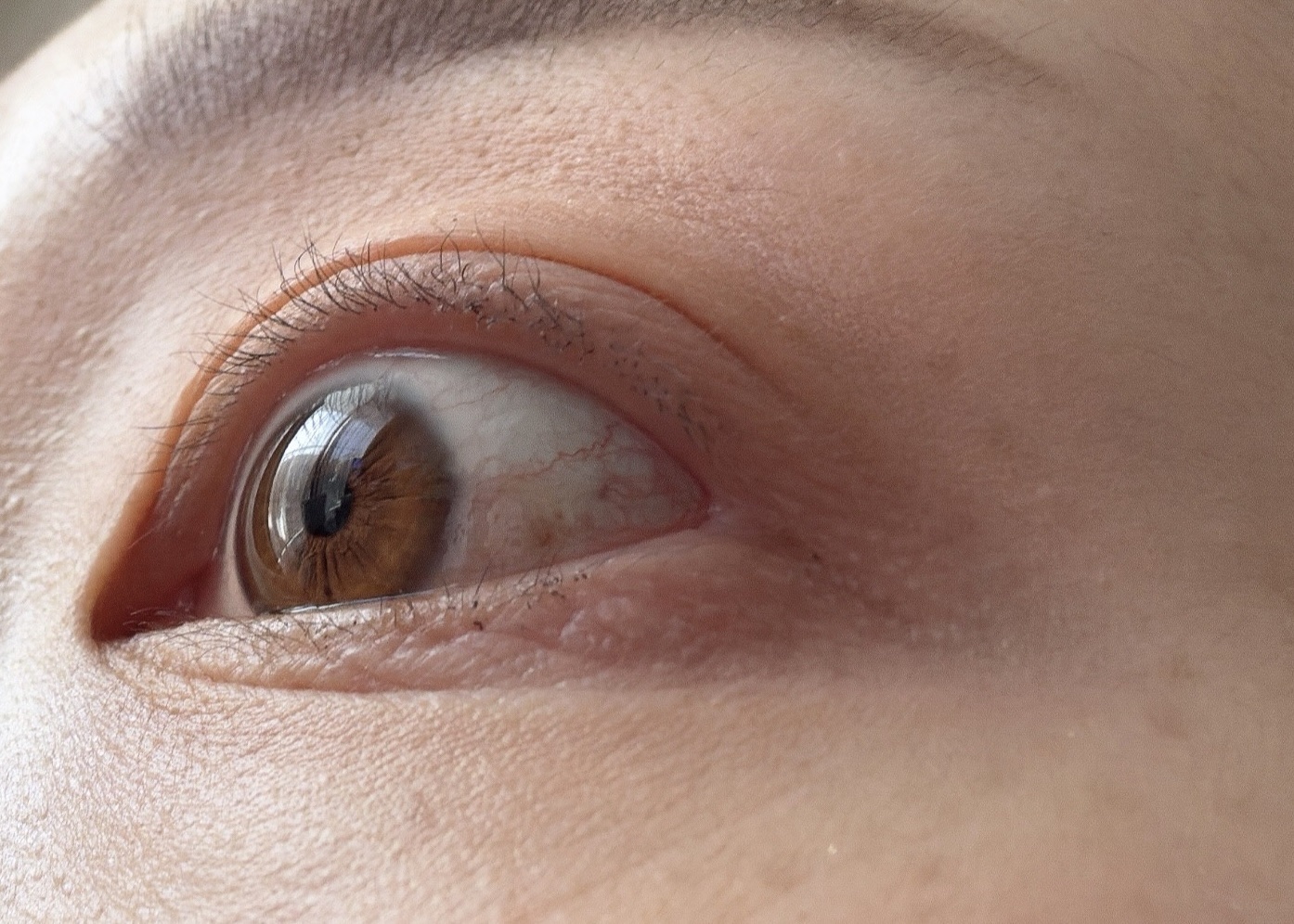 ラッシュエキスパンダー 孔雀ロング/MAJOLICA MAJORCA/マスカラを使ったクチコミ（2枚目）