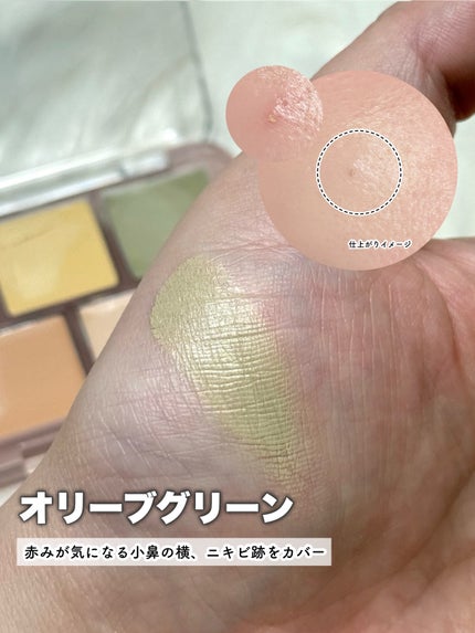 コンシールブレンダーパレット/LUNA/パレットコンシーラーを使ったクチコミ(5枚目)