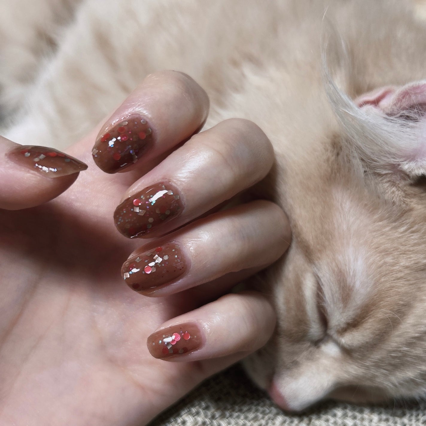 ネイルポリッシュ/POMUM NAIL/マニキュアを使ったクチコミ(4枚目)