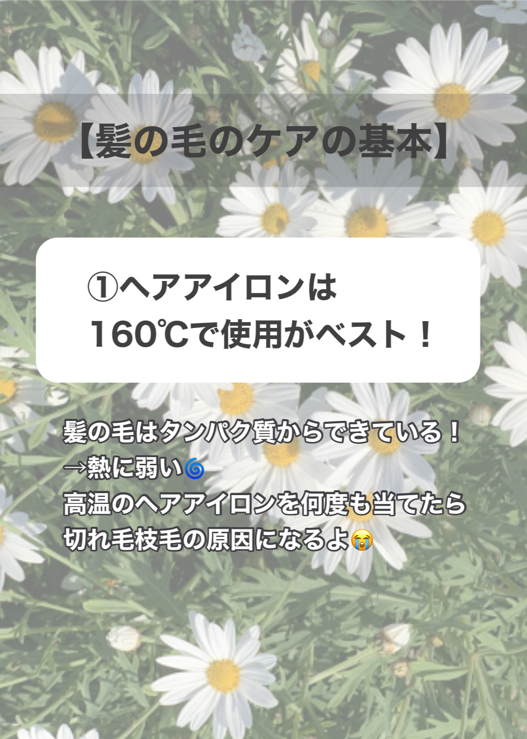 ジェミールフラン メルティバター バーム/ジェミールフラン/ヘアバームを使ったクチコミ（2枚目）