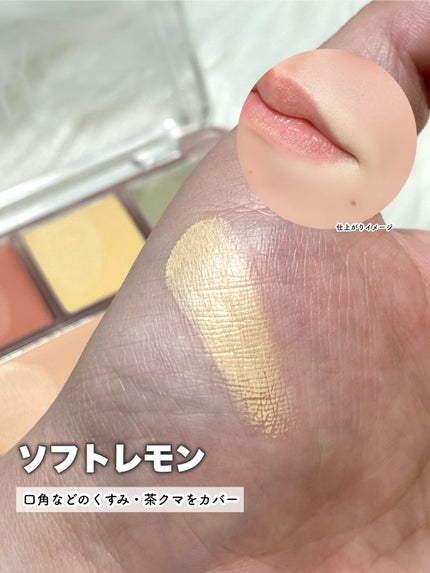 コンシールブレンダーパレット/LUNA/パレットコンシーラーを使ったクチコミ(4枚目)