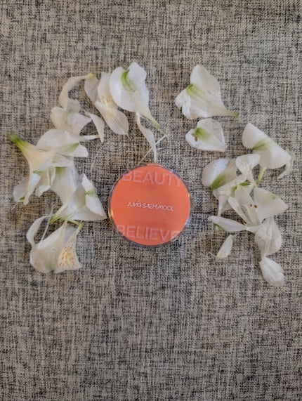 アーティストクッションブラッシュ/JUNG SAEM MOOL/リキッドチークを使ったクチコミ(1枚目)