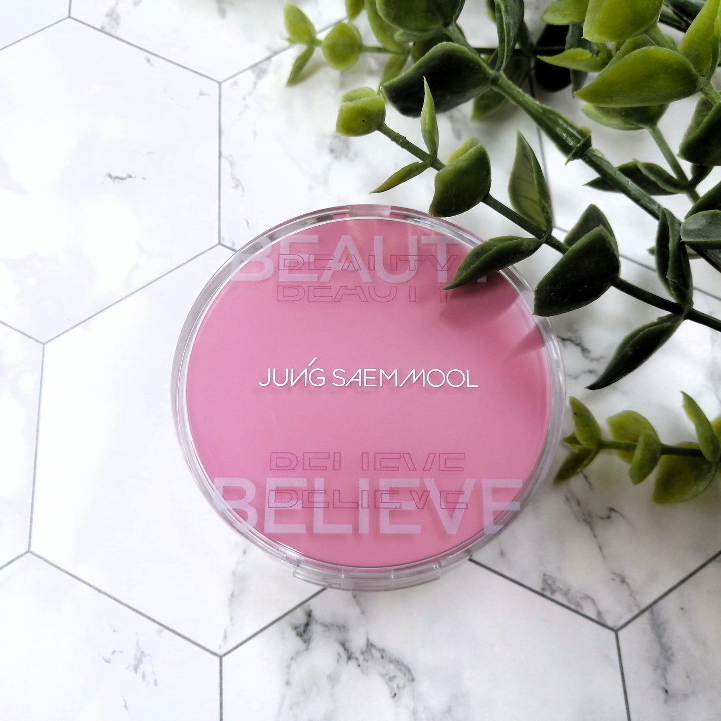 アーティストクッションブラッシュ/JUNG SAEM MOOL/リキッドチークを使ったクチコミ(2枚目)