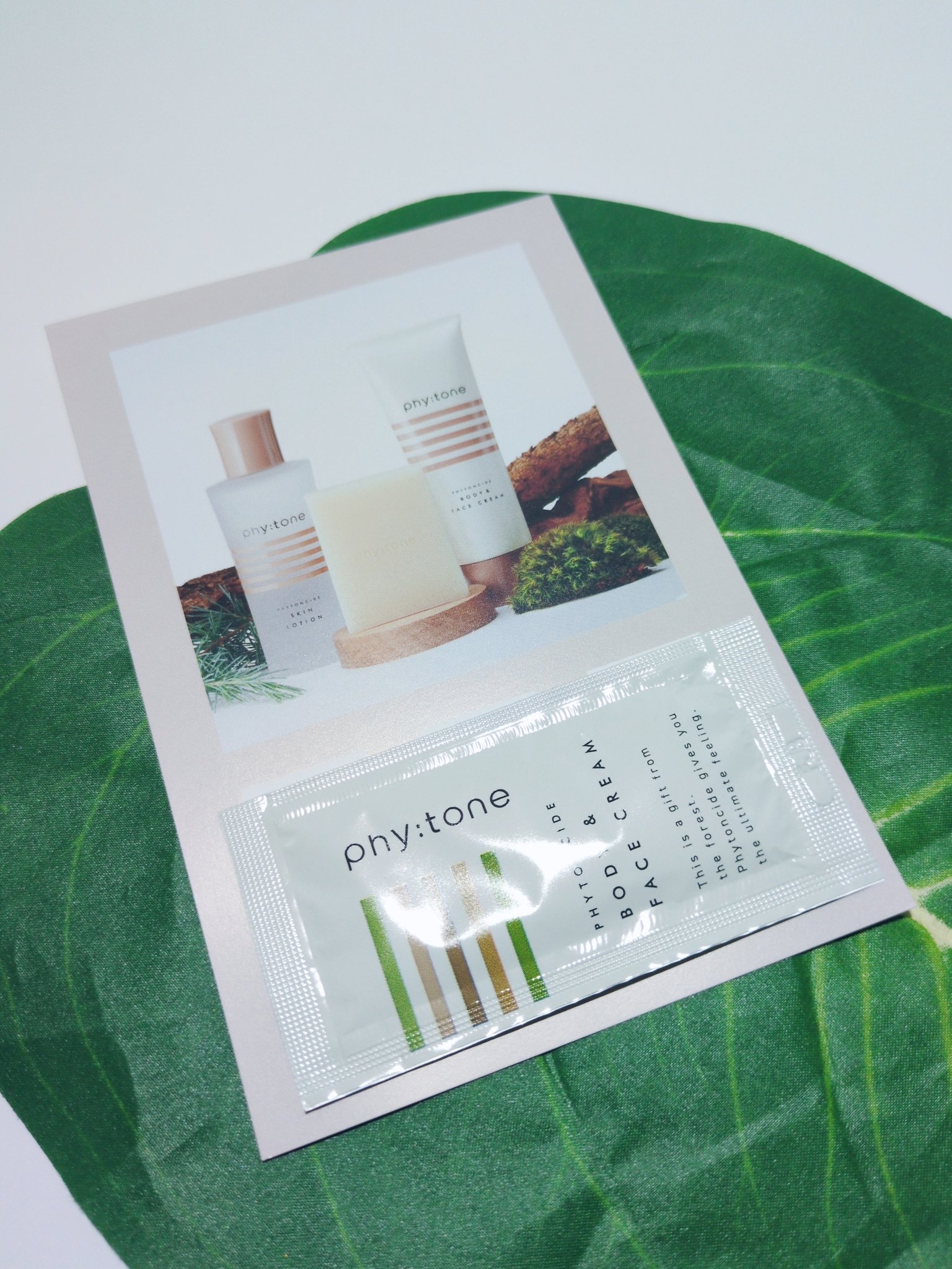 フィトンチッドボディ＆フェイスクリーム/phy:tone/ボディクリームを使ったクチコミ（1枚目）