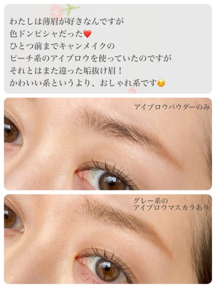 ヴィセ リシェ アイブロウパウダー/Visée/パウダーアイブロウを使ったクチコミ(5枚目)