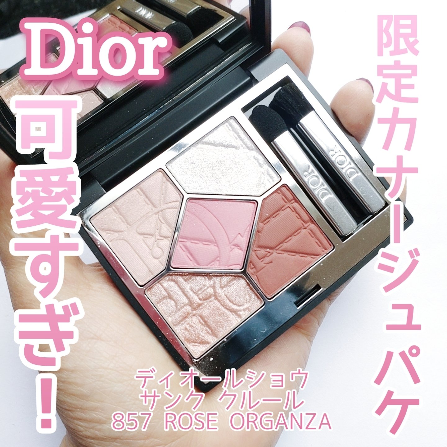 旧】ディオールショウ サンク クルール（限定品） 857 ローズ