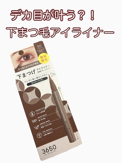 3650 下まつげライナー/3650/リキッドアイライナーを使ったクチコミ(1枚目)