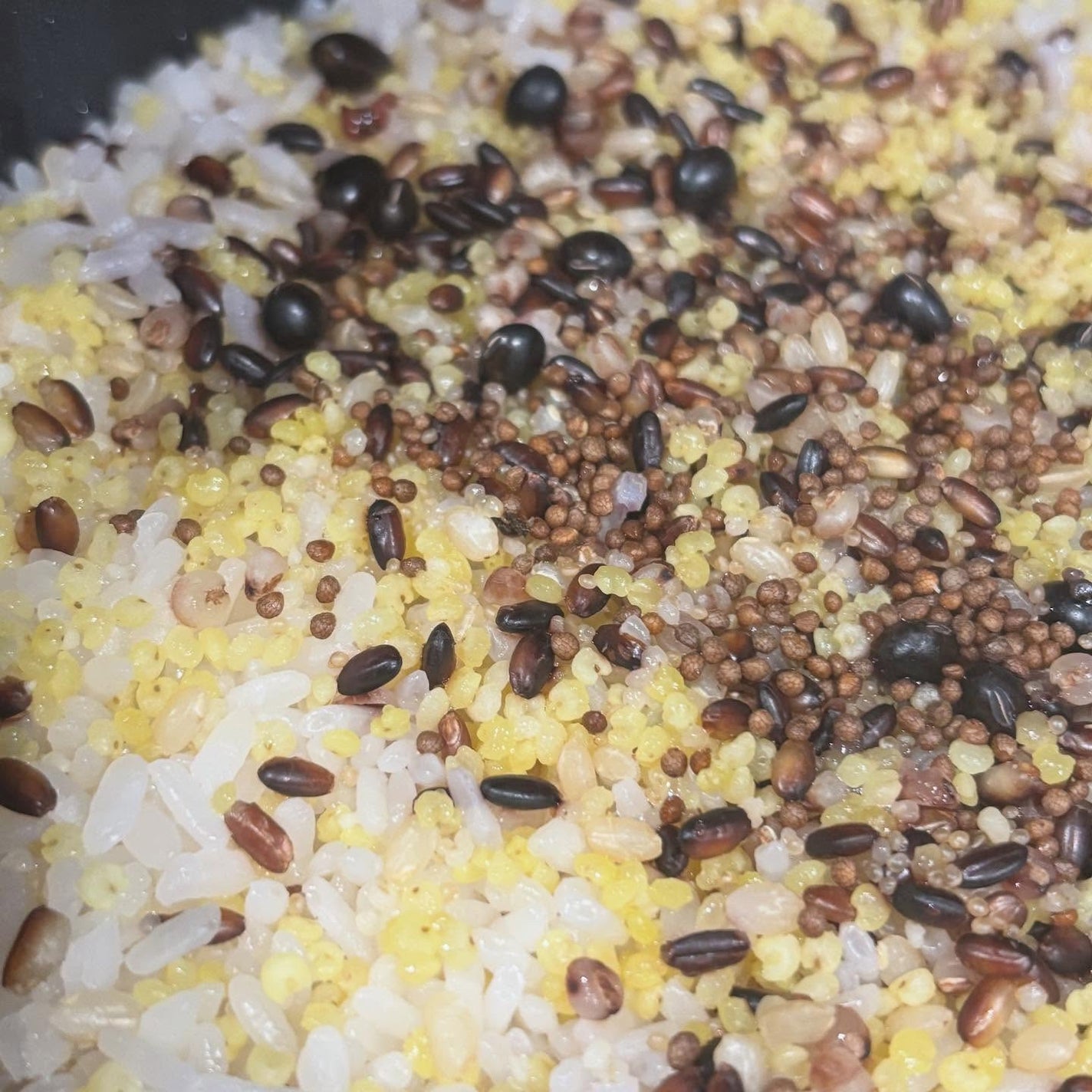 せーか on LIPS 「コエタスのモニターキャンペーンでもらったグルテンフリー雑穀十種..」(6枚目)