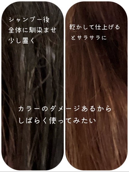 Tottimo!ブリーチケアマスク/Tottimo! /ヘアマスク・ヘアパックを使ったクチコミ(3枚目)