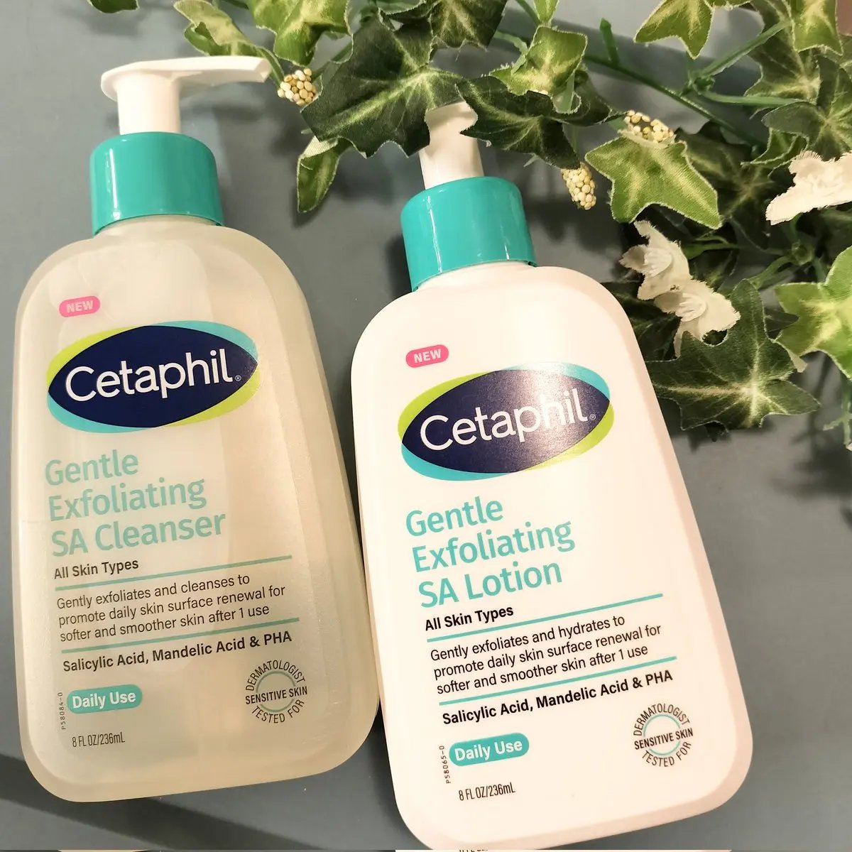 セタフィル　ジェントルSAクレンザー/セタフィル/ピーリングを使ったクチコミ（1枚目）