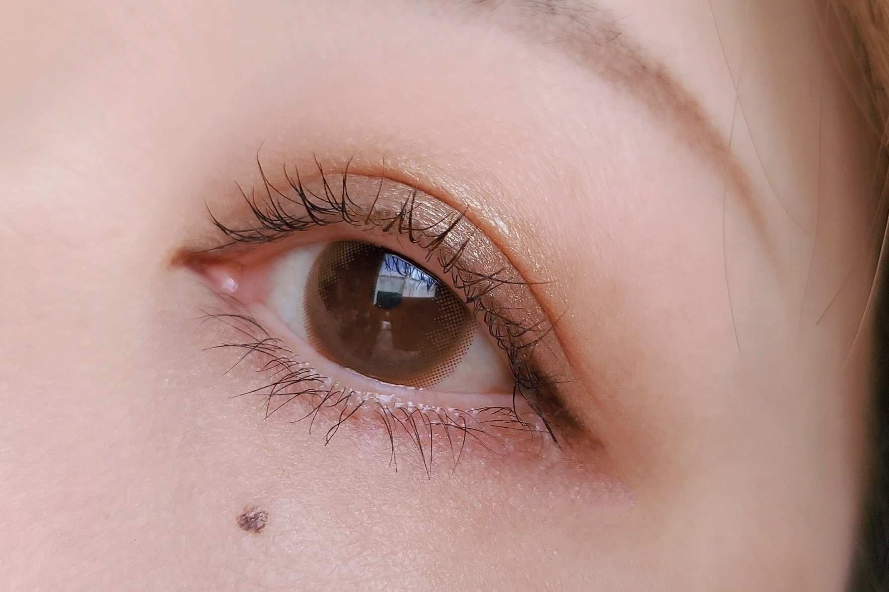  ミニグラムパレット/Natasha Denona/アイシャドウパレットを使ったクチコミ（3枚目）