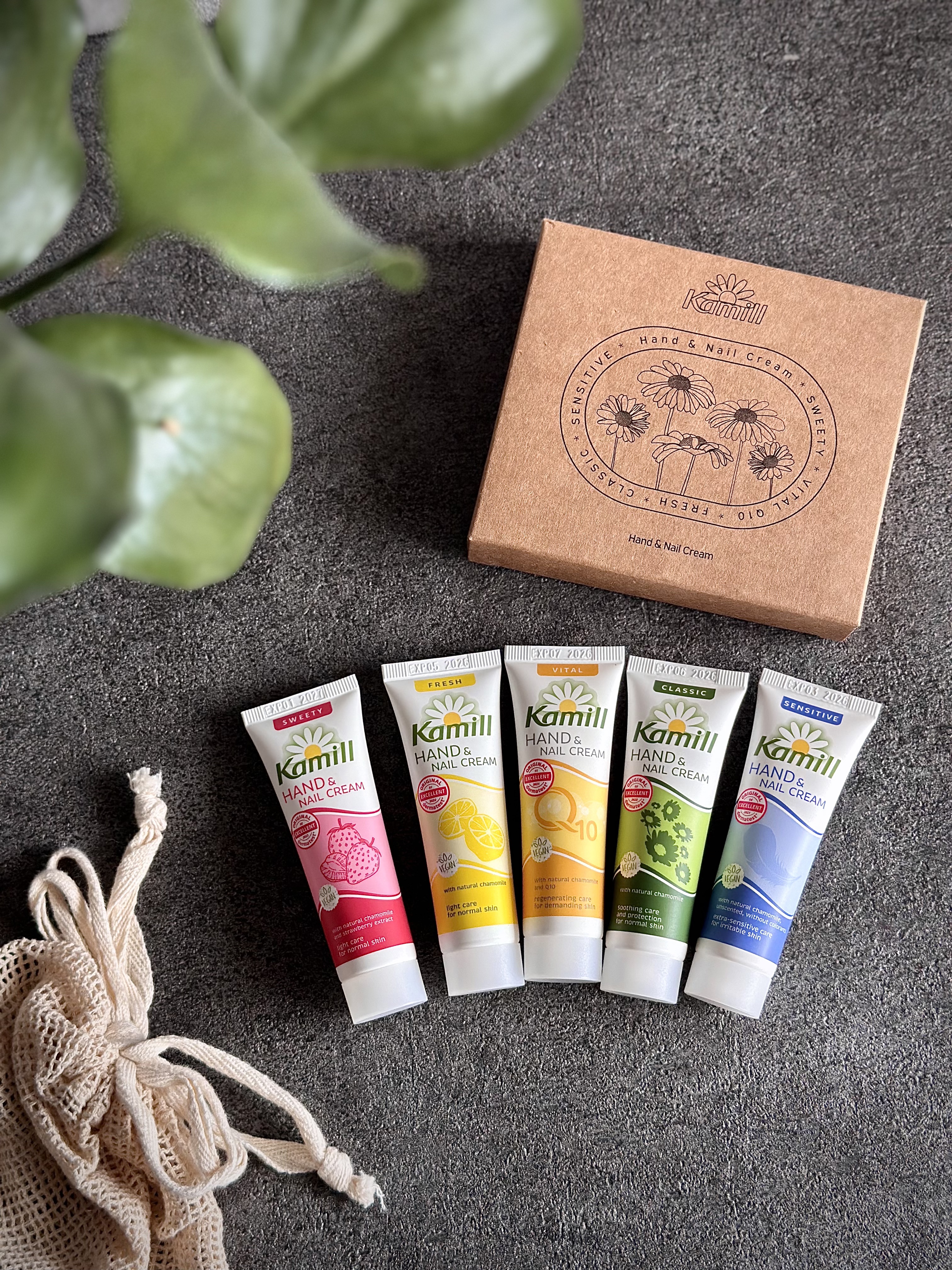 ハンド＆ネイルクリームミニ 企画セット30ml*5/カミール/その他キットセットを使ったクチコミ（1枚目）