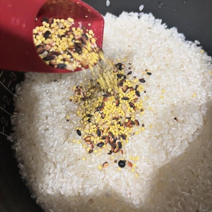 せーか on LIPS 「コエタスのモニターキャンペーンでもらったグルテンフリー雑穀十種..」(5枚目)