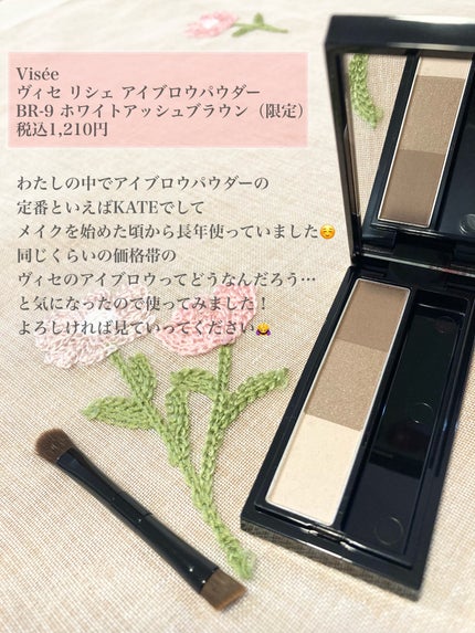 ヴィセ リシェ アイブロウパウダー/Visée/パウダーアイブロウを使ったクチコミ(2枚目)