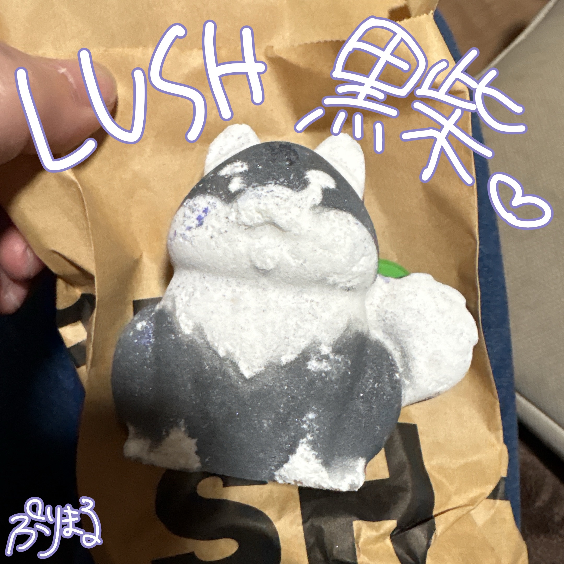 ラッシュ 黒柴 ボム（バスボム）のクチコミ「LUSH‪🫶

完全にパケ買いだ…一目惚れの
ラッシュ

黒柴 ボム    バスボム     .....」（1枚目）