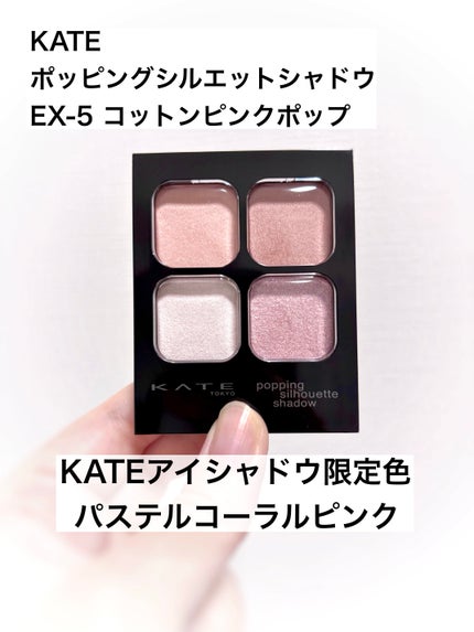 ケイト ポッピングシルエットシャドウ/KATE/アイシャドウパレットを使ったクチコミ(1枚目)