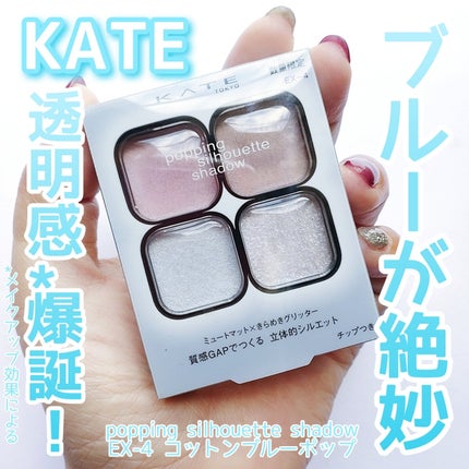 ケイト ポッピングシルエットシャドウ/KATE/アイシャドウパレットを使ったクチコミ(1枚目)