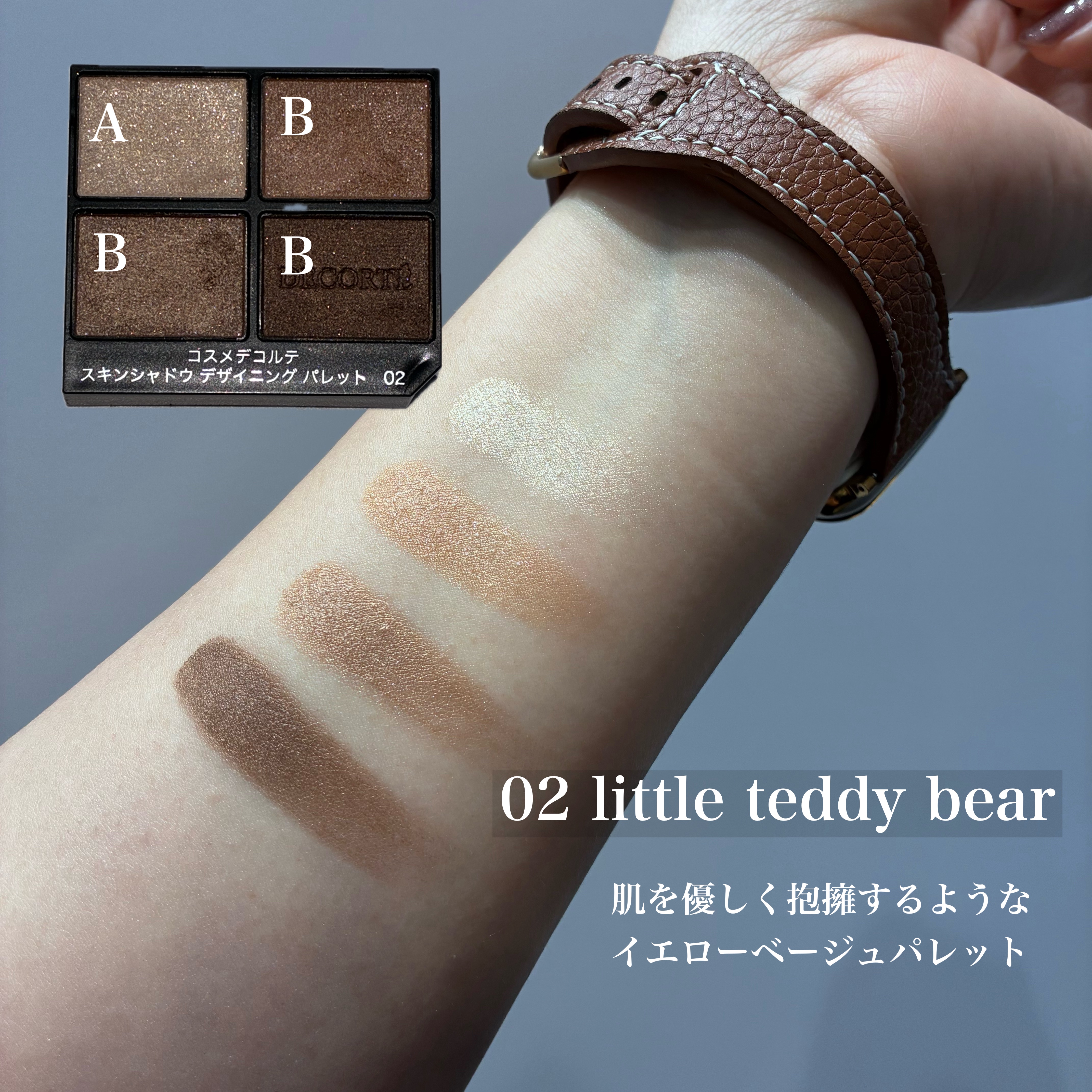 スキンシャドウ デザイニング パレット/DECORTÉ/アイシャドウパレットを使ったクチコミ（3枚目）